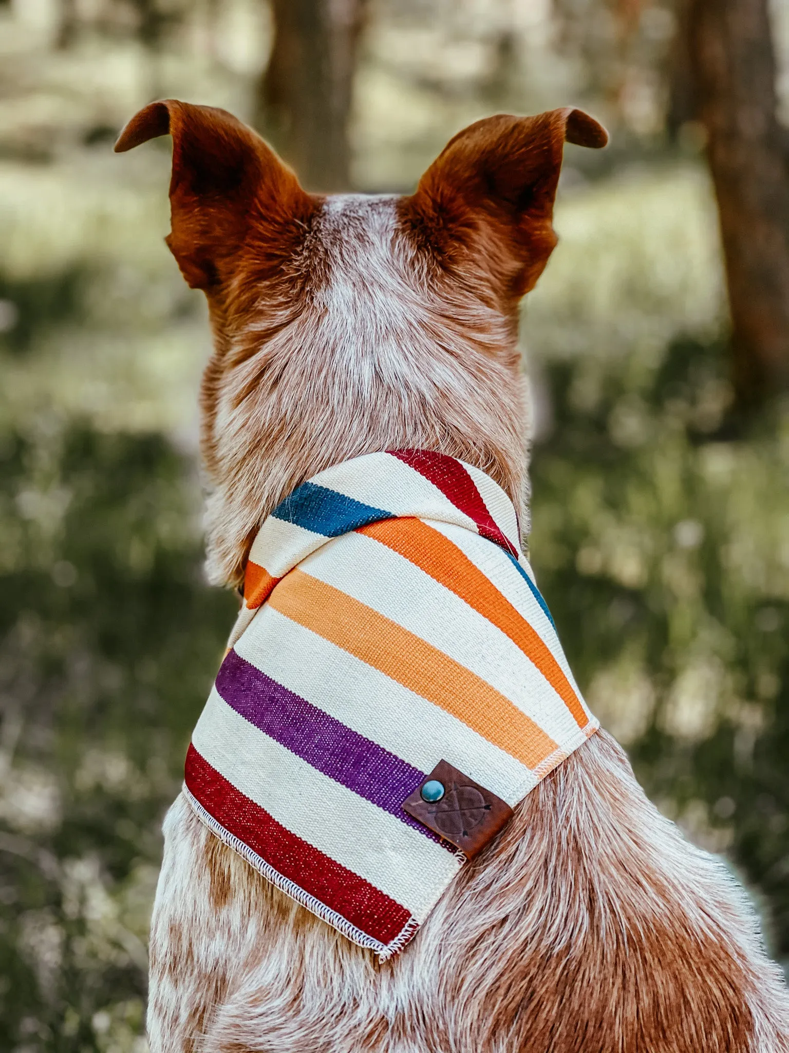 AUGUST - Adjustable Dog Bandana
