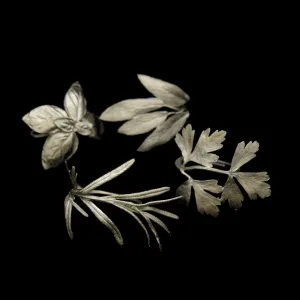Italian Herbs Assortment for Four Napkin Rings - Pewter