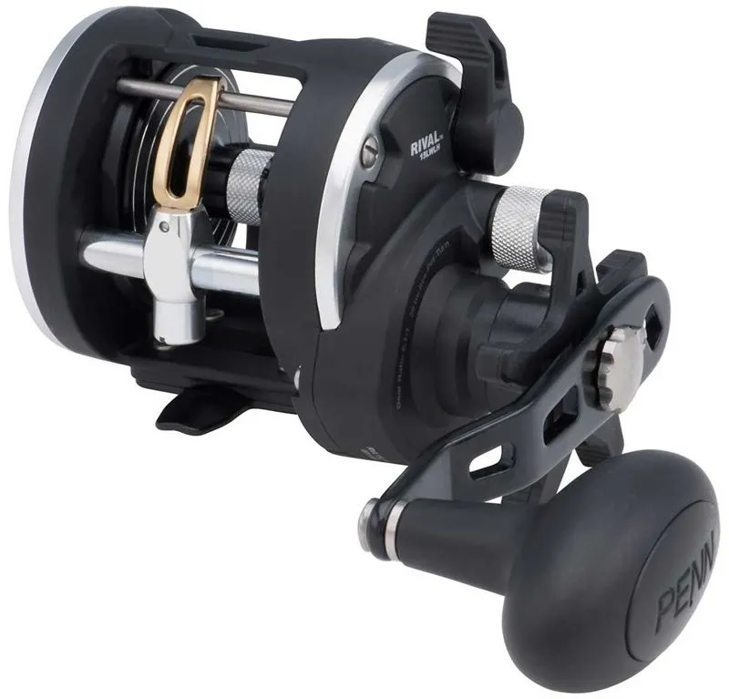 Penn Rival RVL30LW Multiplier reel