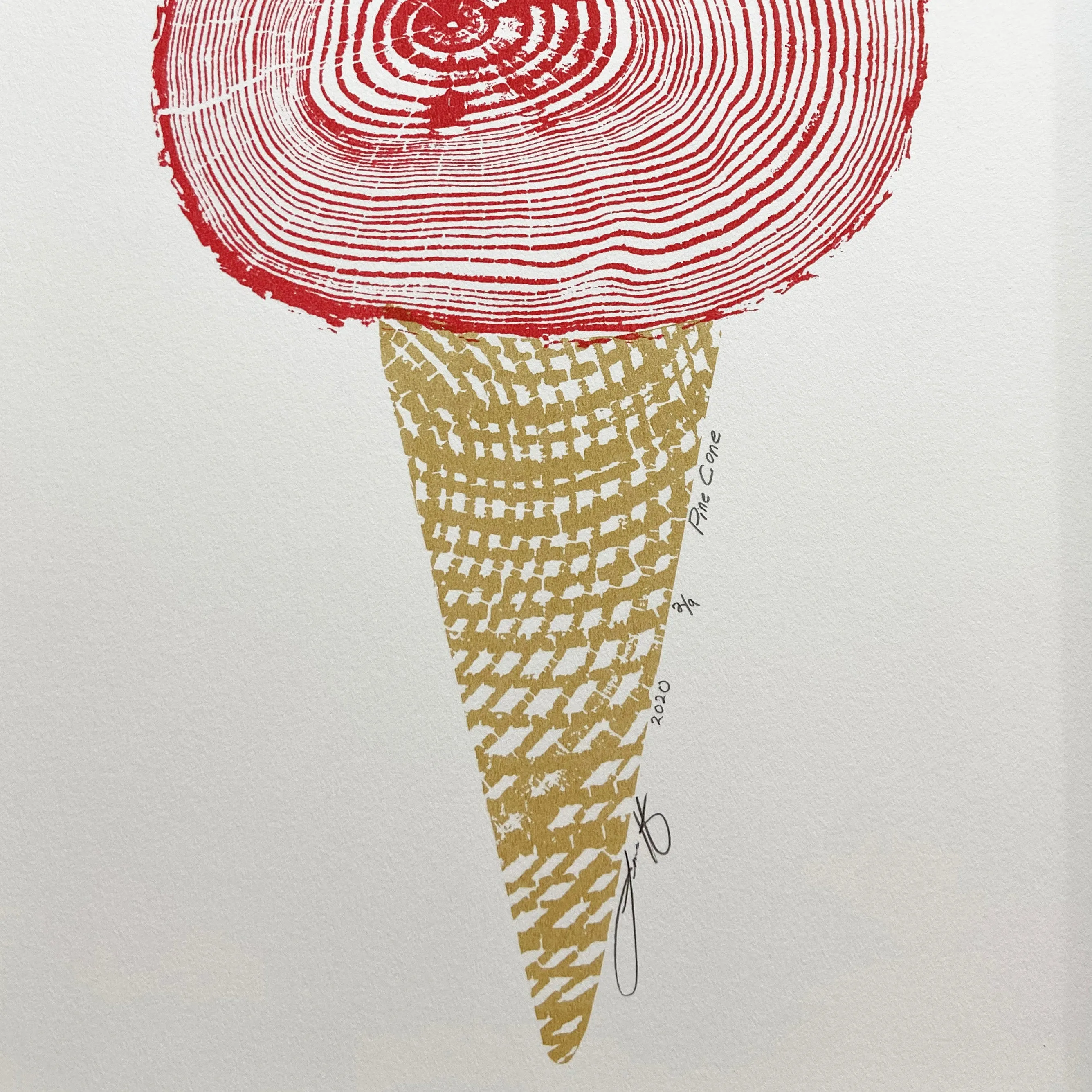 Pine Cone, Limited Edition, 22"x9" Framed Tree Print
