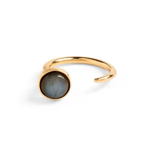 Tangent Ring in Gold