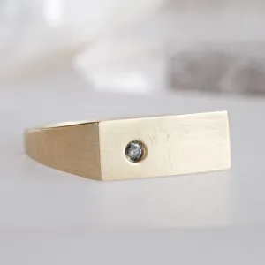 The Lune Salt and Pepper Diamond Signet Ring | 14K Yellow Gold