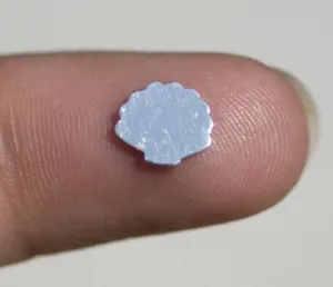 Tiny metal Sea Shell blanks