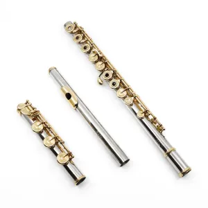 Verne Q. Powell Handmade Custom Flute in Platinum with Gold Mechanism - New
