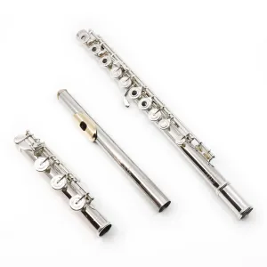 Verne Q. Powell Handmade Custom Flute in Platinum with Silver Mechanism - New